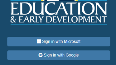 Portal Single Sign-On Options